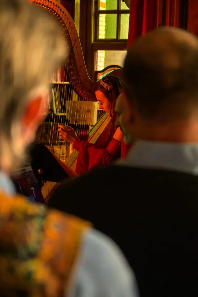 Guests watching the harpist play, seen over their shoulders